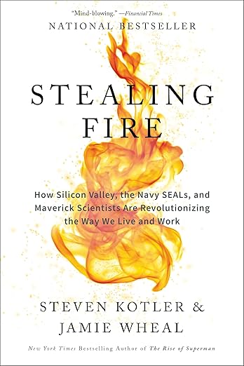Stealing Fire: How Silicon Valley, the Navy SEALs, and Maverick Scientists Are Revolutionizing the Way We Live and Work cover